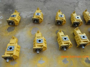 專業(yè)雙聯(lián)齒輪油泵選購指南 廠家、型號(hào)、質(zhì)量與價(jià)格全解析